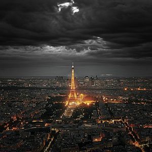 Meet your Posher, Terri